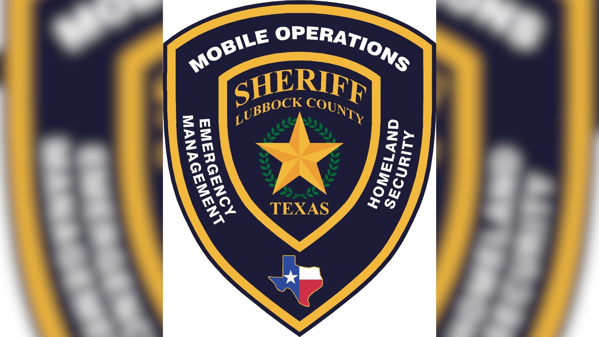 Emergency Crews Respond to Bee Attack with Multiple Victims in Lubbock County