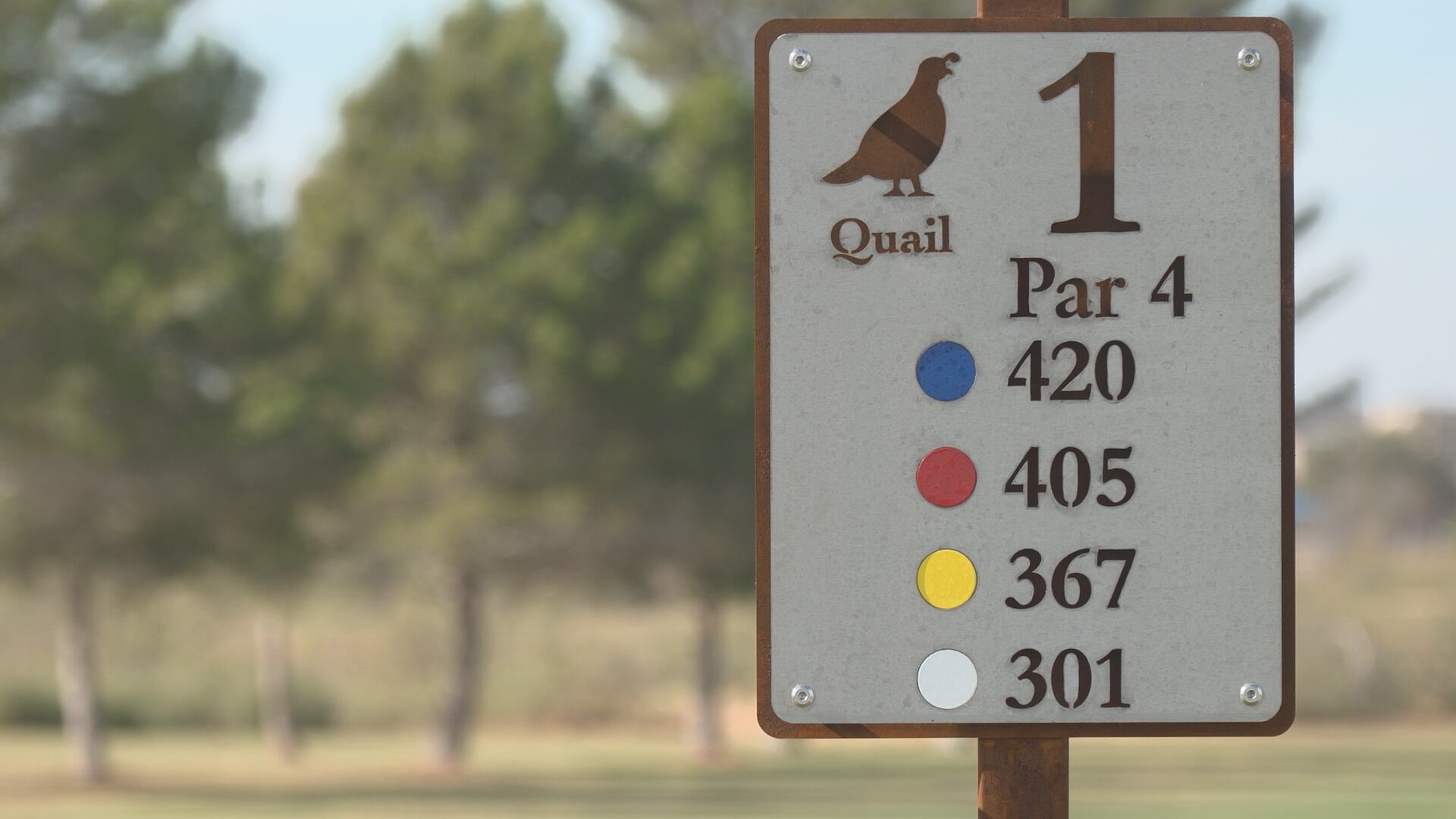 Quail Golf Course Reopens After Hogan Park Renovations