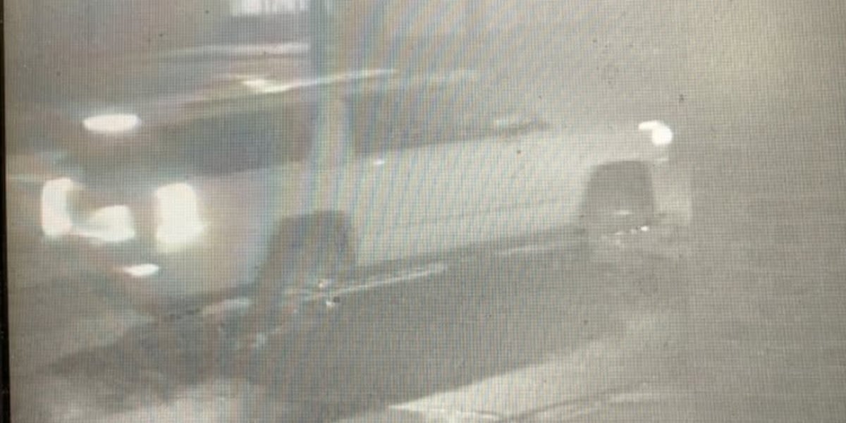 Assault News Image