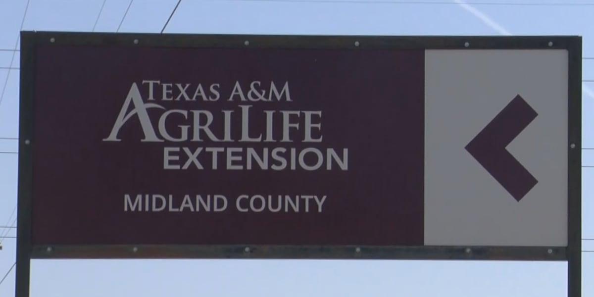 Free online course trains New World screwworm inspectors as Texas threat grows