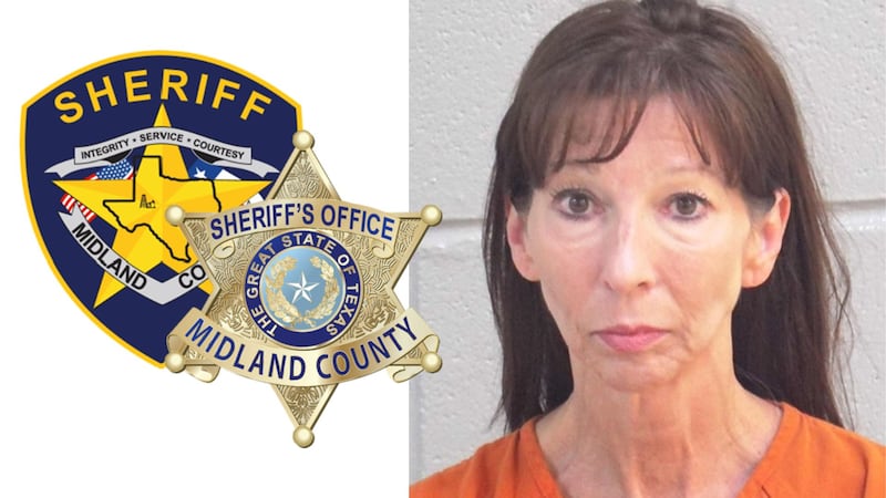 Founder/CEO of Reflection Ministries arrested for attempted kidnapping