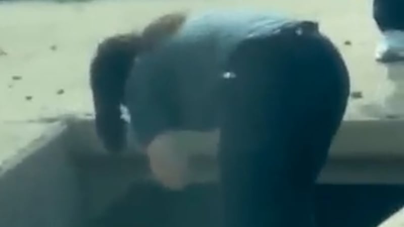 Midland police are asking for help identifying a man found dead in a culvert near a highway on...