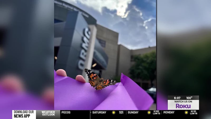 Odessa Regional Medical Center to host butterfly release for families who lost a child